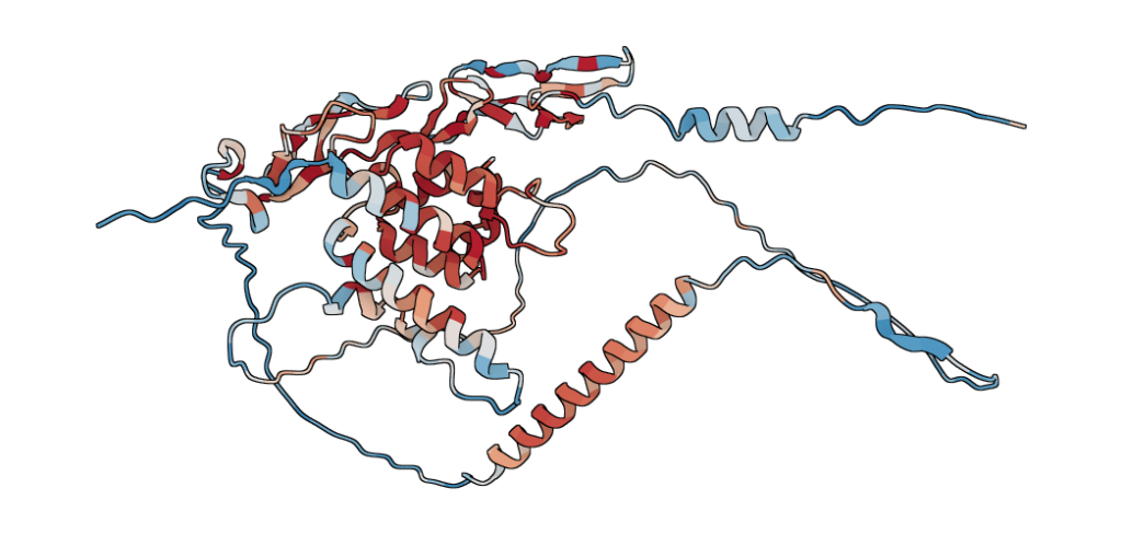 Tumor necrosis factor receptor superfamily member EDAR