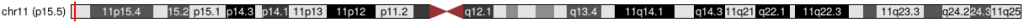 DRD4 chr11:637,269-640,706