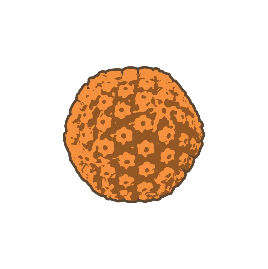 EpsteinBarrVirus