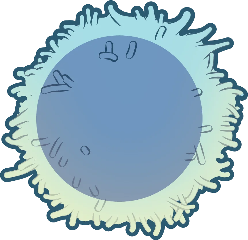 T-cell