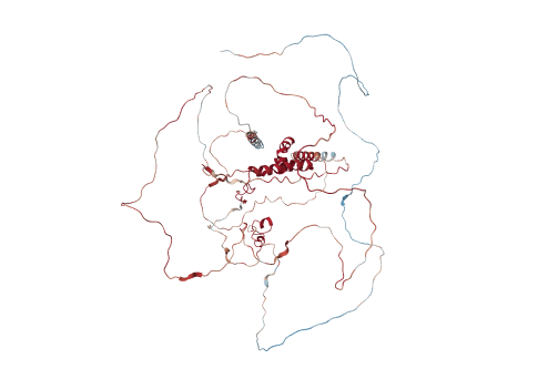Transcription factor 7-like 2