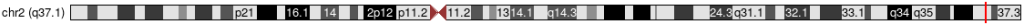 rs2241880