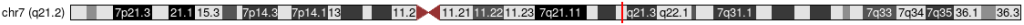 rs2282978