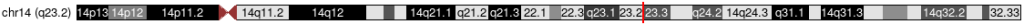 rs35036378