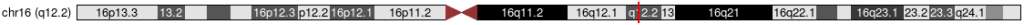rs9939609