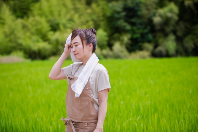 汗タオル拭きふき