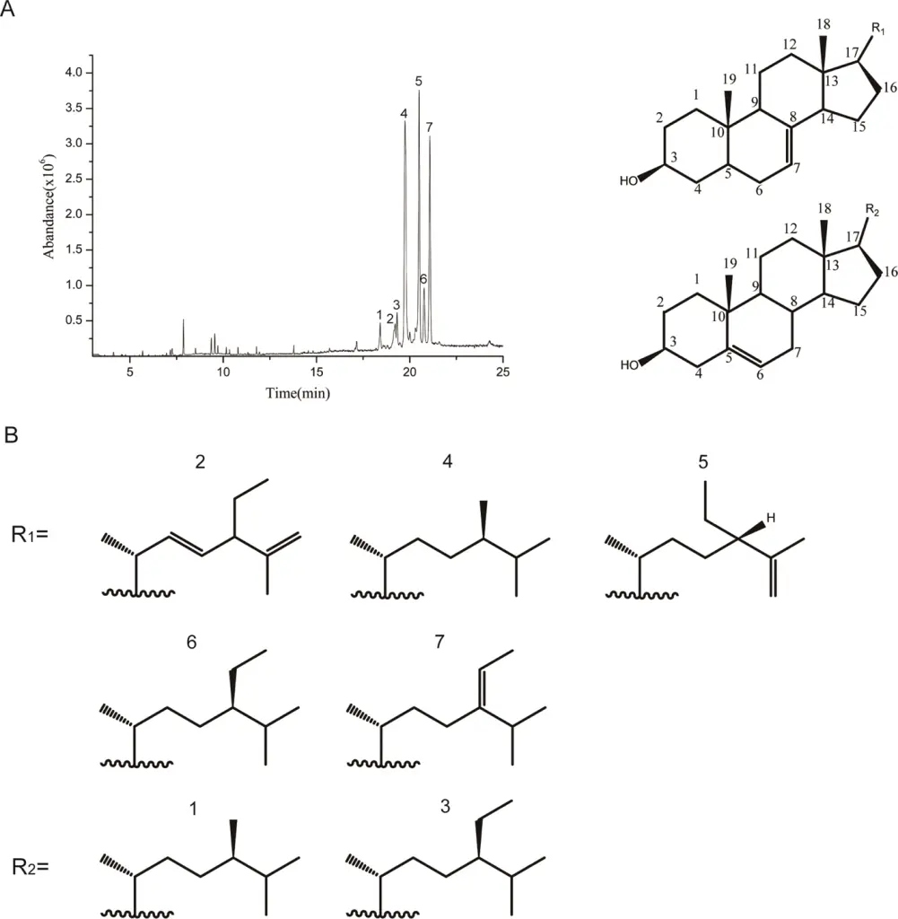 Fig. 1. GC–MS analysis of TPS in hull-less pumpkin seed oil. (A) Total ion chromatogram of TPS by GC–MS. (B) Chemical structure of peaks (1–7) shown in (A). Peaks (1–7) were identified by comparing with NIST.14 standard library and defined in the text.