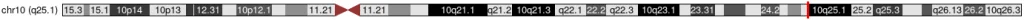 COL17A1