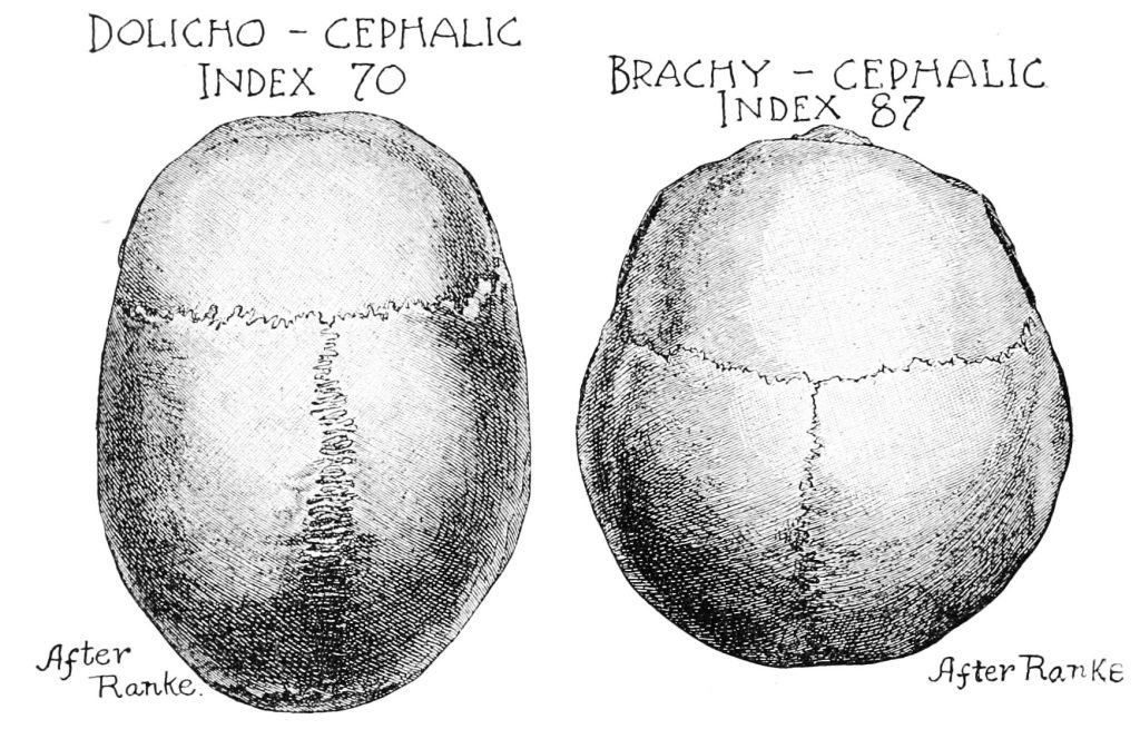 PSM_V50_D598_Mesocephalic_indexes_of_racial_classification