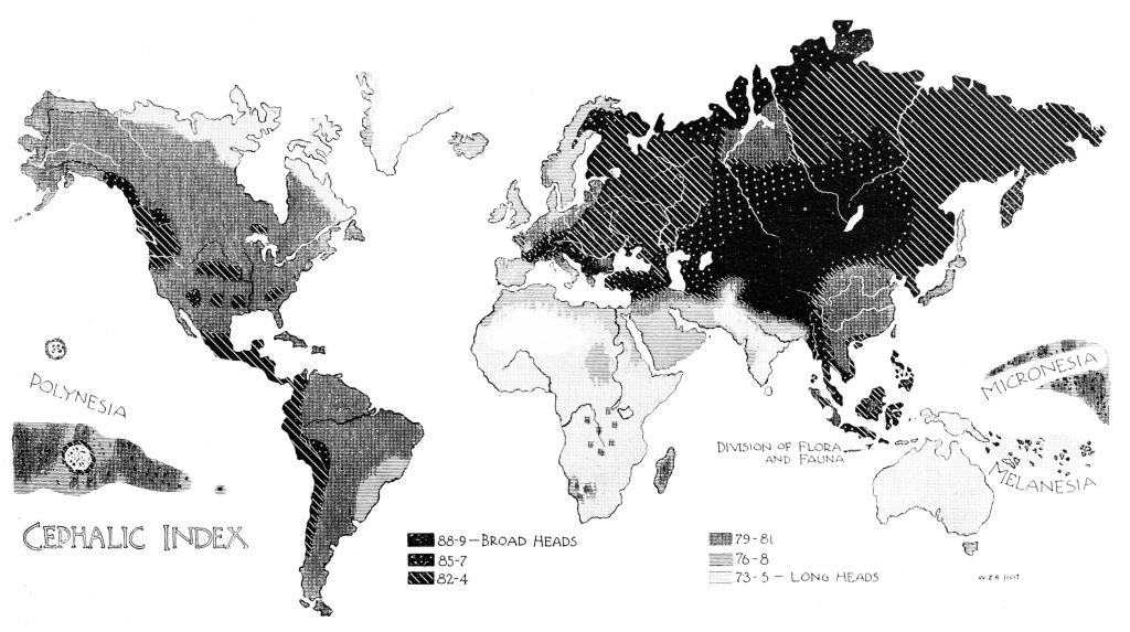 PSM_V50_D602_World_cephalic_index_map