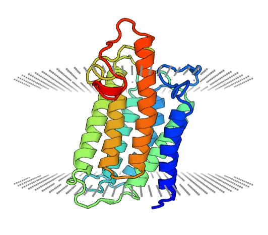 crystal structure of steroid 5-alpha-reductase 2 in complex with finasteride