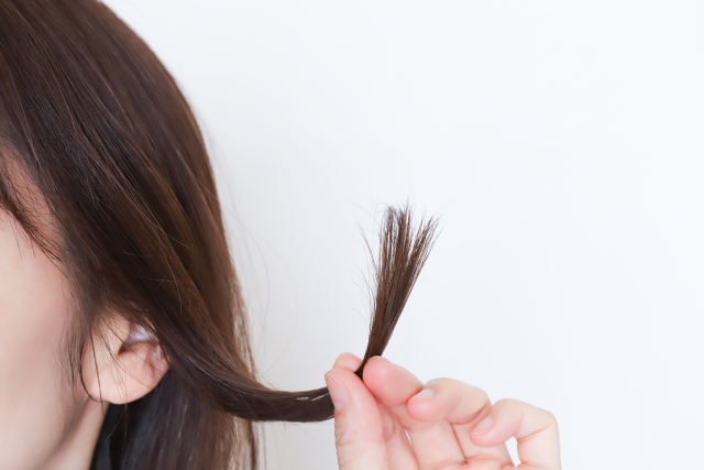 枝毛が目立つ傷んだ髪の毛束を手に取る女性。毛先は裂けており、風化・劣化によるダメージが明らかに。髪の老化やヘアダメージの象徴的なシーン。