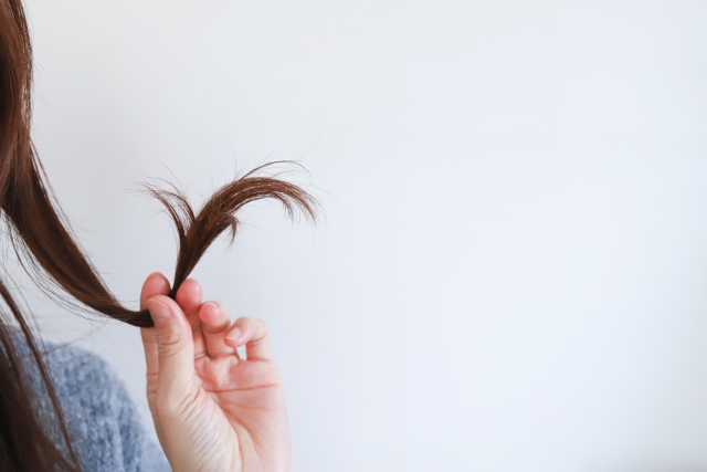 数本の指で優しく持ち上げられた一束の髪。手と髪、肩がわずかに映るだけのシンプルな構図。髪の毛は普段は意識しないことが多いが、失って初めてその価値に気づくことがある。
