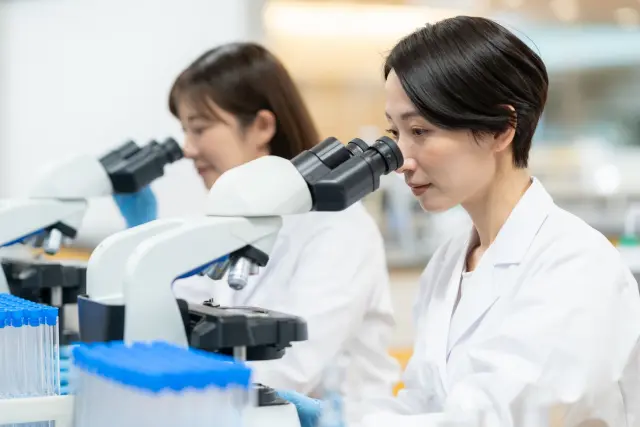 並んで座る2人の女性研究者が、それぞれ顕微鏡を覗き込みながら観察作業を行っている。