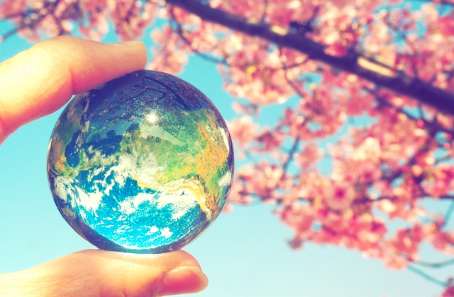 光にかざされたガラス製の地球儀。背景には桜の花がほのかに咲き、地球の多様性と美しさを象徴している。