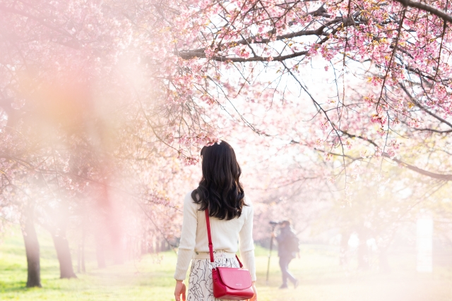 春の桜並木に佇む黒髪の女性が、風になびく艶やかな髪を際立たせる。自然と調和したパステルカラーの服装が、ボリュームのある美しい髪をより印象的に引き立てる情景。自毛植毛や薄毛治療後の豊かな髪を象徴するイメージ。