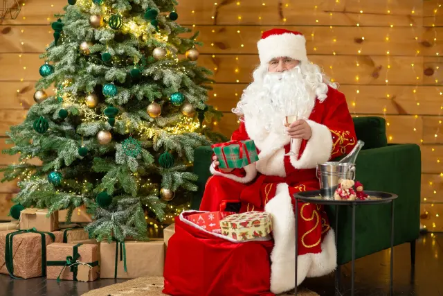 白くて立派な髭をたくわえたサンタクロースの肖像。クリスマスを象徴する髭スタイルが印象的なキャラクター