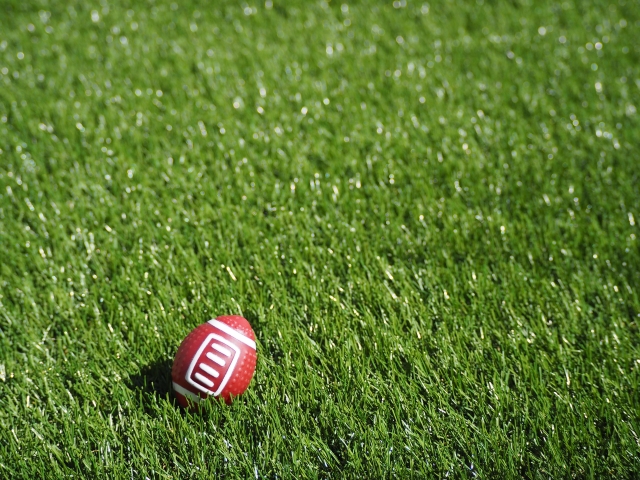 芝生に置かれたアメリカンフットボールの小型トイボール。NFL選手ウェス・ウェルカーのストーリーに象徴されるように、スポーツと髪の悩み、そして自信回復のつながりを暗示するイメージ。