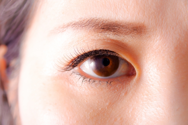 右目元のアップ画像。上向きにカールされたまつ毛が目元の印象を引き立てており、美容と機能の両面でまつ毛の重要性を伝えるイメージ。