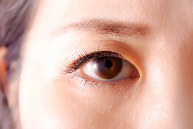 右目元のアップ画像。上向きにカールされたまつ毛が目元の印象を引き立てており、美容と機能の両面でまつ毛の重要性を伝えるイメージ。