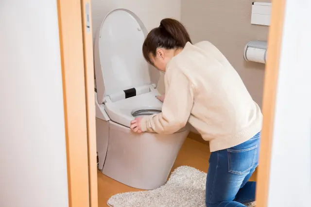トイレの前で激しい吐き気に襲われうずくまる妊婦の後ろ姿。妊娠によるホルモン変動が髪や体調に与える影響を暗示する場面