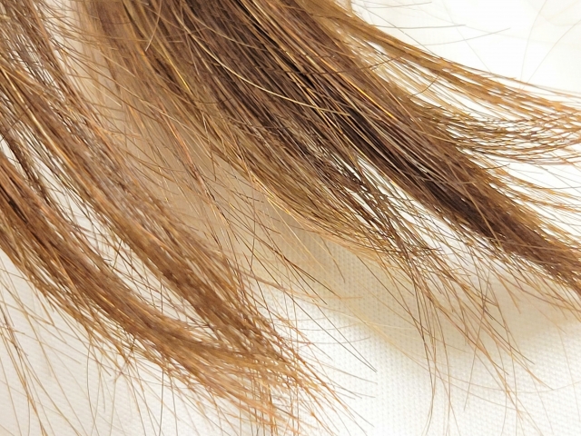 ブリーチとヘアカラーの繰り返しによりダメージを受け、色が退色し乾燥したワイヤー状の髪。タンパク質の流出やキューティクル損傷によるパサつきと脆さを示す髪の質感イメージ。