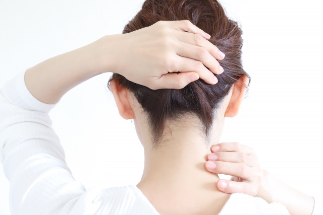 髪を持ち上げてうなじを見せた女性の後頭部。うなじ部分に見える産毛（軟毛）は、体毛移植に使われることもある毛の例。