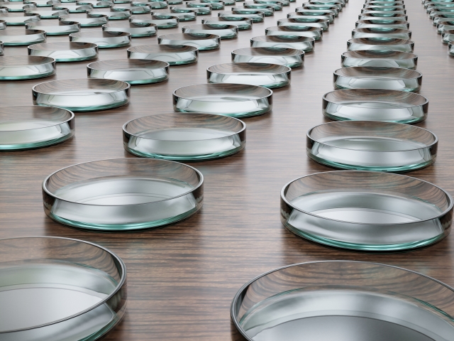 木製デスクの上に多数の培養皿が整然と並べられている実験室の光景。毛包細胞のスクリーニングやiPSC由来幹細胞の培養工程など、毛髪再生医療に関するラボ研究のイメージとして使用。