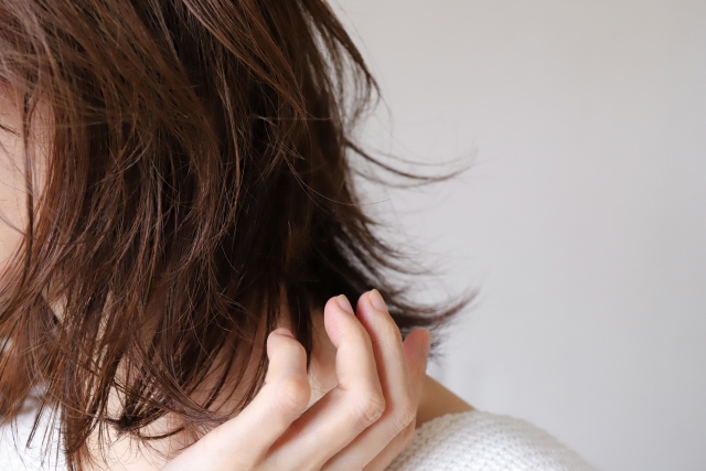 毛先がパサついた女性の横髪の接写画像。髪のボリューム減少やダメージヘアが気になる女性の薄毛悩みを象徴するイメージ。