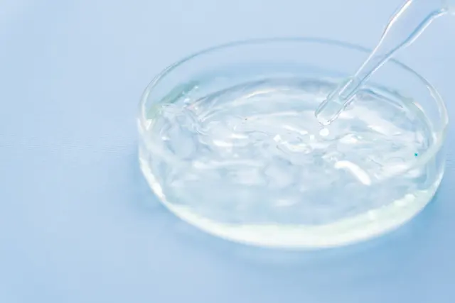 培養皿内の寒天にピペットで触れる実験の様子。毛包細胞や上皮幹細胞の再生医療研究を連想させる画像で、毛髪クローニングに関する基礎研究段階のイメージとして使用。