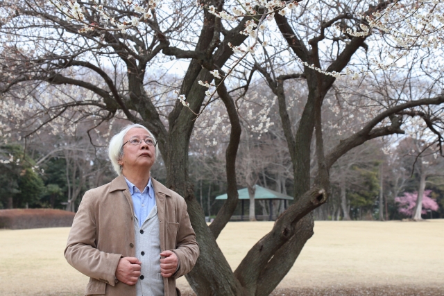 白髪で額が広くなった高齢男性が眼鏡をかけ、木を見上げている姿。加齢による薄毛や生え際の後退に直面しながらも、希望や自然体での受け入れを感じさせる描写で、高齢者にも可能な植毛治療の対象イメージとして適した写真。