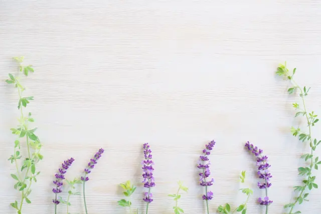 明るい木製テーブルの上に並べられた複数の薬草。自然派のハーブ育毛療法で使用されるアムラ、ニーム、ブラーミなどをイメージさせ、脱毛予防や頭皮ケア、DHT抑制に役立つ成分としての文脈を伝える装飾写真。薄毛対策や自然療法に関するコラムに適したイメージ。
