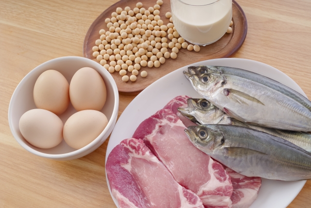 高タンパク質なもの