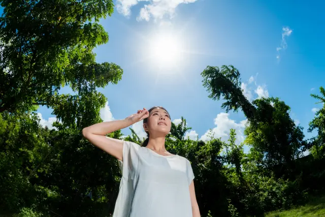 夏