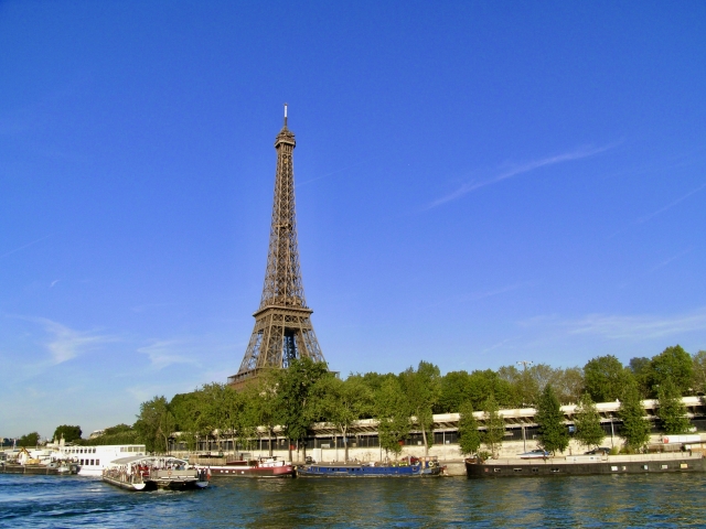 親子鑑定　NIPPT　DNA鑑定　フランス