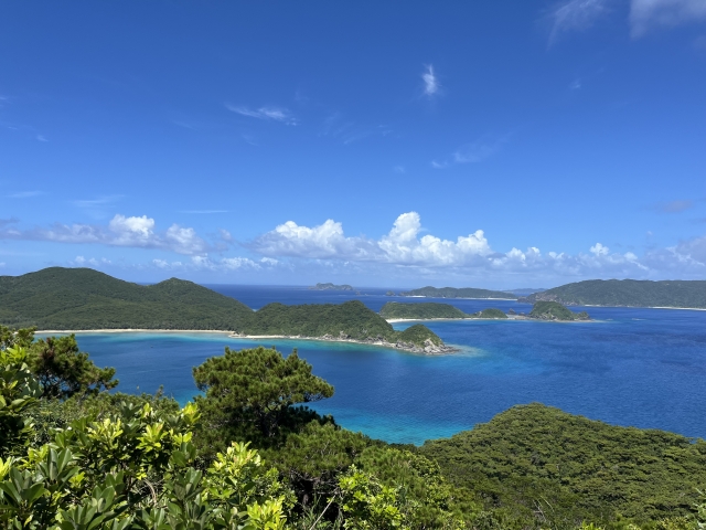 親子鑑定　NIPPT　DNA鑑定　沖縄