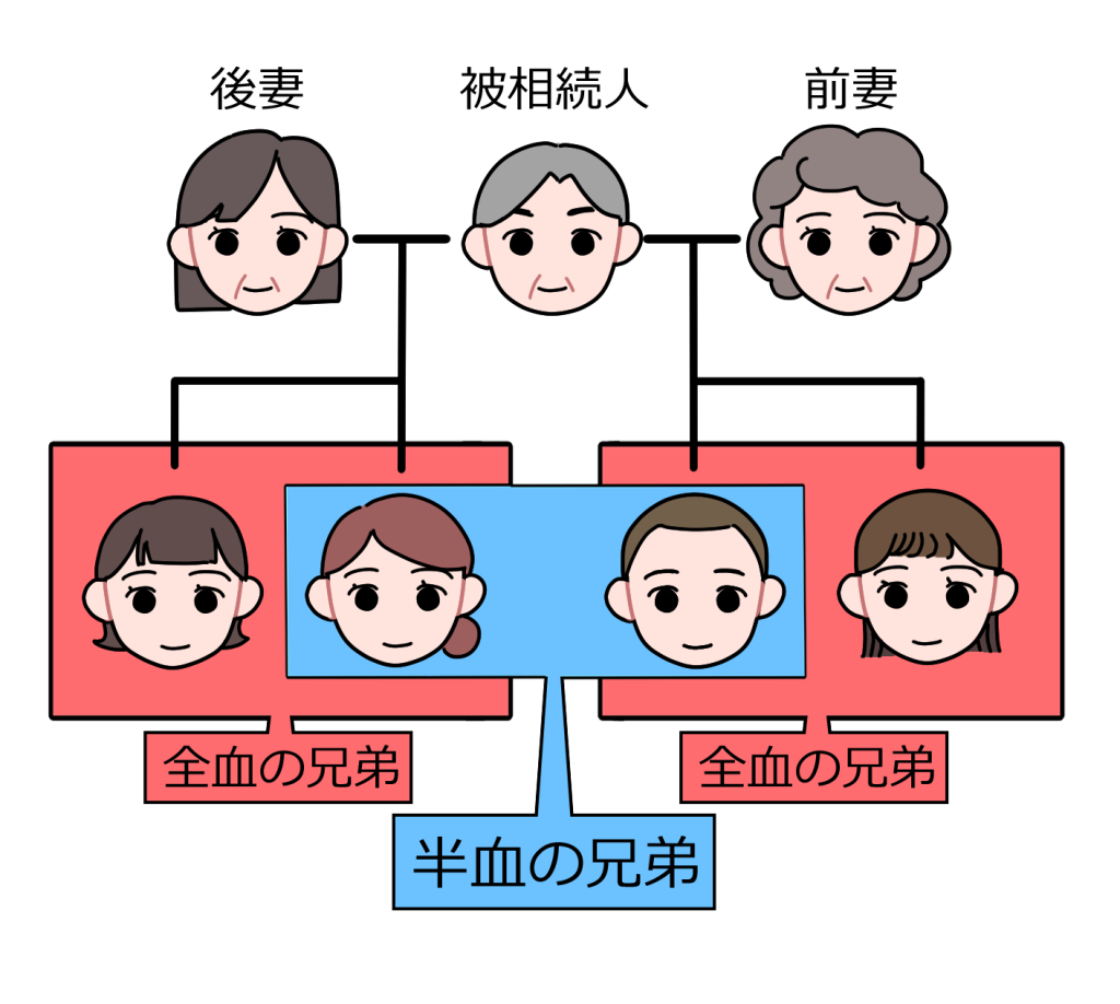 出生後兄弟姉妹鑑定｜DNA検査で兄弟関係を確認｜ヒロクリニックNIPPT