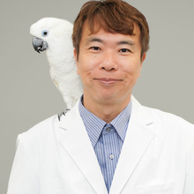 AIチャットで相談する