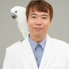 AIチャットで相談する