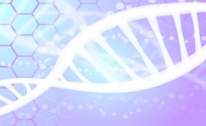 什么是染色体和基因？通过使用NIPT(新型产前诊断)，可以从基因层面了解胎儿的状态【医生监修】