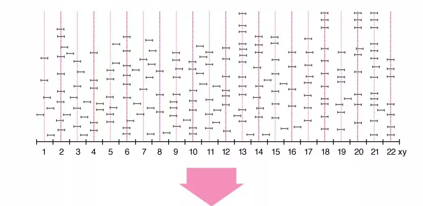 遺伝子の量の分布を計測