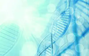 ネフロン癆（Nephronophthisis） 1 型(欠失2q13)　DNA　画像