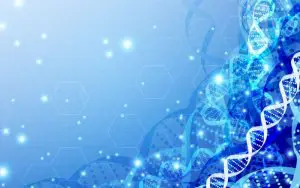 羊水検査マイクロアレイ法について　遺伝子　画像