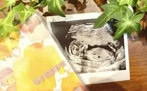 プレママになったら知っておきたい「母子手帳のもらい方」　エコー写真　母子健康手帳　写真