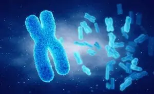 ターナー症候群(モノソミーＸ)とは…赤ちゃんの親なら知るべきこと　遺伝子　画像