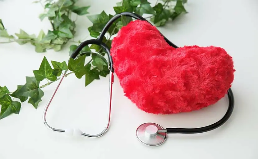 出生前診断はいつからいつまで？種類や時期、診断方法について　聴診器　ハート　写真