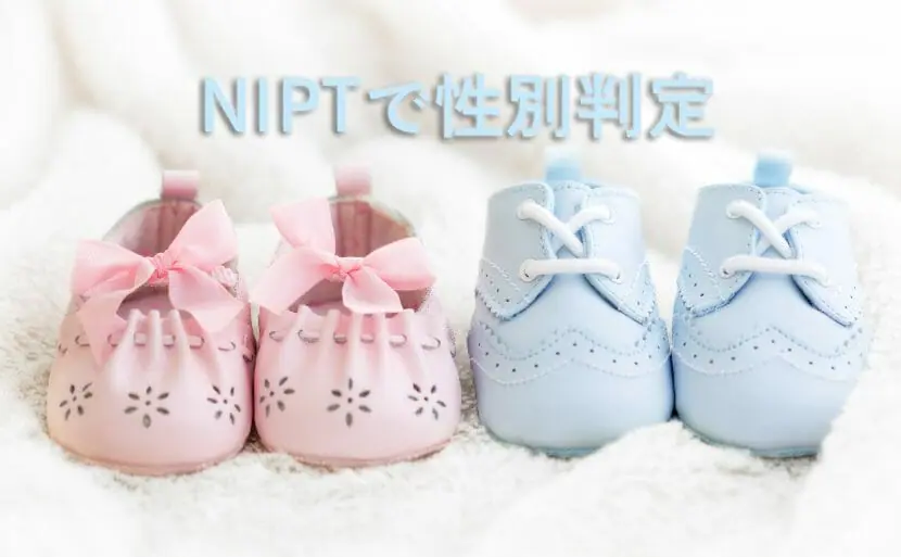 img-gender-judgment-nipt