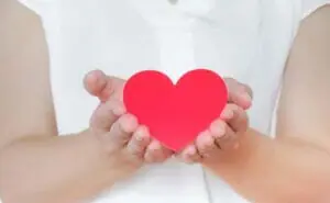 NIPTの検査結果はいつ分かる？