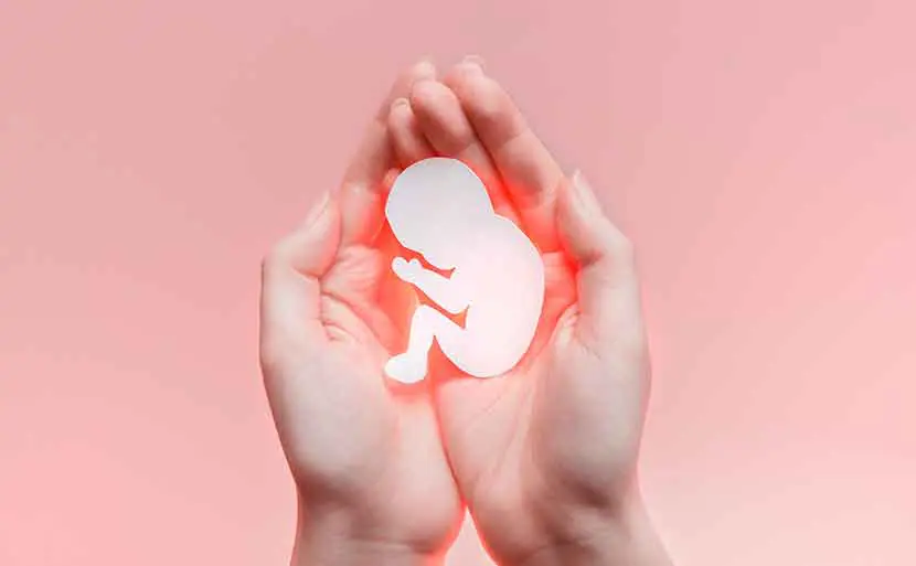 NIPT（新型出生前診断）の適切な時期