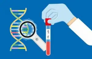 NIPTの検査結果とは